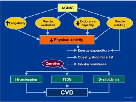 jiedm.com|Series of Endocrinology, Diabetes and Metabolism.
